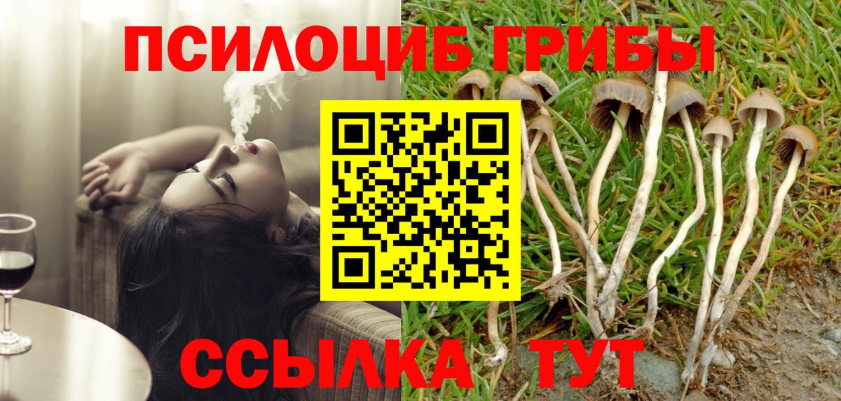 Псилоцибиновые грибы Psilocybine cubensis Губаха