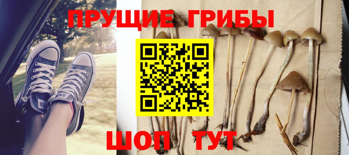 Губаха  Псилоцибиновые грибы мицелий  магазин продажи   Вход с VPN 